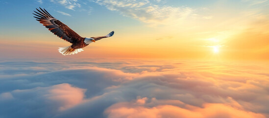 a bird flying over clouds