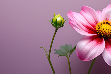 Obraz premium pink flower, generative ai