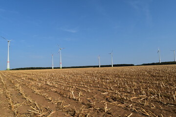 Windkraft, Windräder, Maisstoppeln, Feldlandschaft