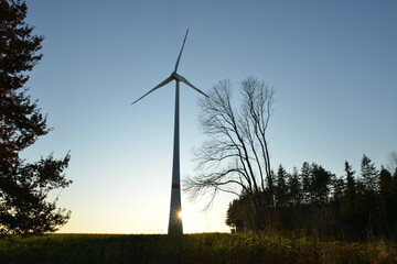 Windkraft, Windrad im Gegenlicht der tief stehenden Abendsonne