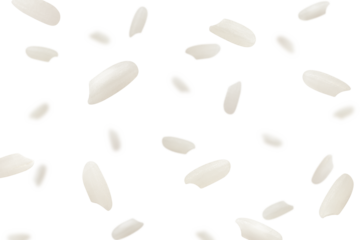 Falling Rice isolated on white background, selective focus