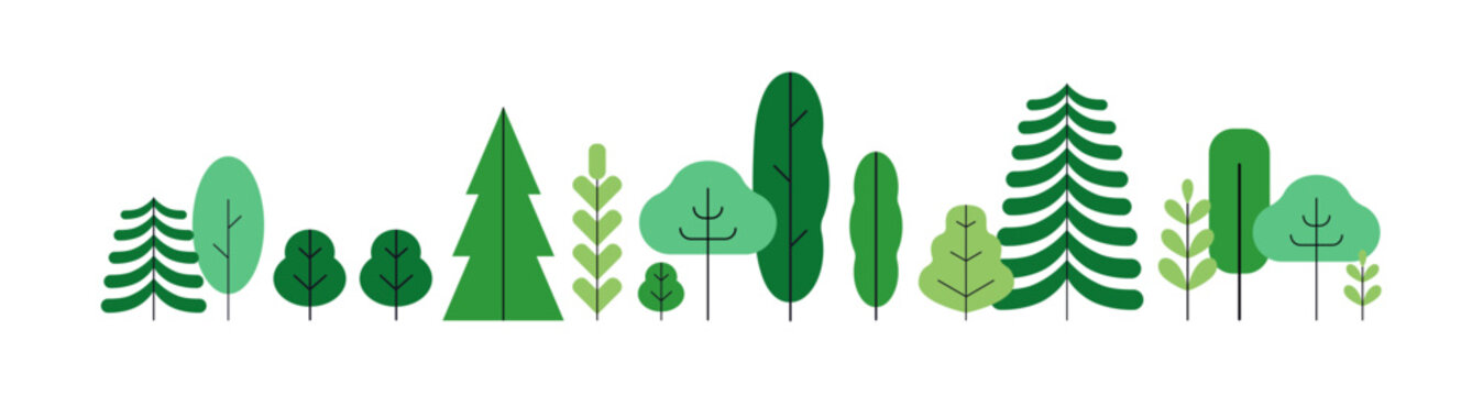 Forest, green trees in row, border decoration. Wood plants, simple stylized woodland panorama. Abstract woods flora decor in modern style. Flat vector illustration isolated on white background