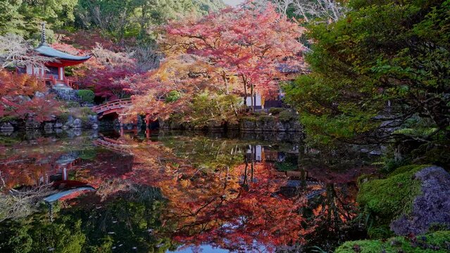 京都　醍醐寺の弁天池と紅葉