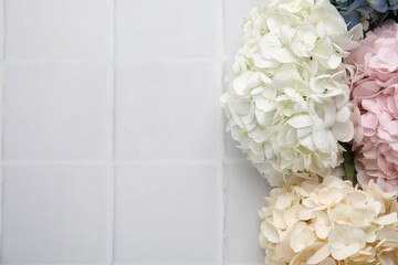 Beautiful hydrangea flowers on white tiled background, top view. Space for text