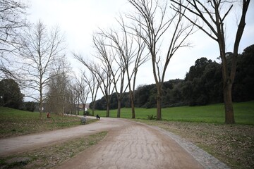 Picturesque view of beautiful green park with trees and pathway on cloudy day