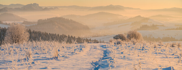 Extremely frosty mountain landscape at sunrise.Pieniny mountain,Poland. - 745642930