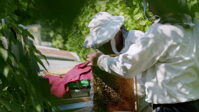 Beekeepers protective suit honey harvesting close-up. Through honey harvesting beekeepers contribute to organic food production honey's role nutritious delicious enhancer from honey harvesting.