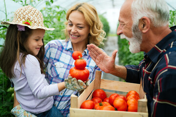 Family working together in greenhouse. Multigenerational family while working in family garden.