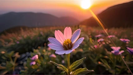 Foto op Plexiglas sunset in the mountains © ehtasham