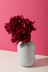 Beautiful, fresh flowers on a pink background.