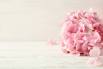 Beautiful, pink flowers on a white background.