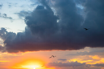 Sunset view with seagulls and dramatic clouds