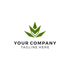 Cannabis and fox logo concept vector icon