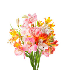 Bouquet of colorful Alstroemeria flowers isolated on white background.