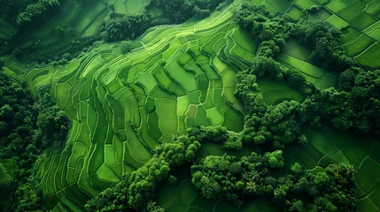 Schilderijen op glas An aerial shot captures the stunning and intricate patterns of verdant rice terraces carved into the landscape, surrounded by tropical foliage. © feeling lucky