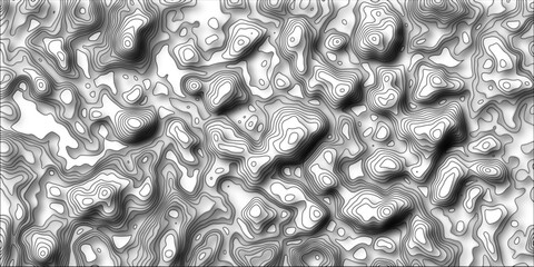 Abstract lines background. Contour maps. Business concept. Black and white marble, concept art advertising campaign copy space, invitations. 