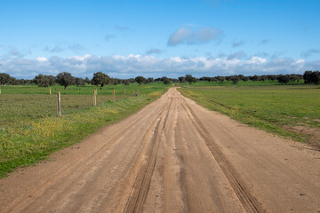 camino de tierra
