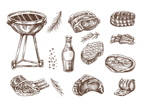 Set of hand-drawn sketches of barbecue elements. For the design of the menu of restaurants and cafes, grilled food. Doodle vintage illustration. Engraved image.