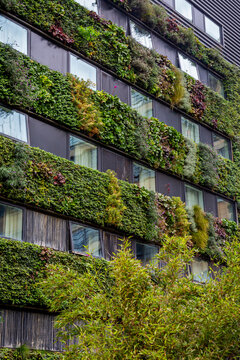 Residential building covered with green plants