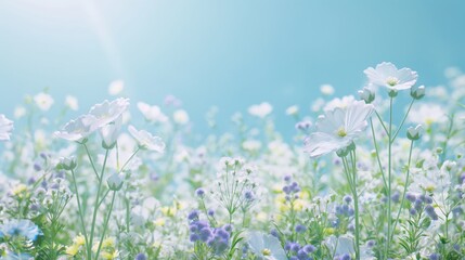 Colorful blooming flowers of spring on pastel blue background.