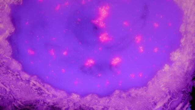 Organic Purple Abstract Art Fluid Effect With Neon Particles Expanding. microcosmic Concept 