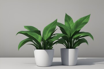 Two Potted Plants on Table