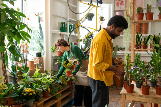 Multiracial colleagues assisting each other working in plant store