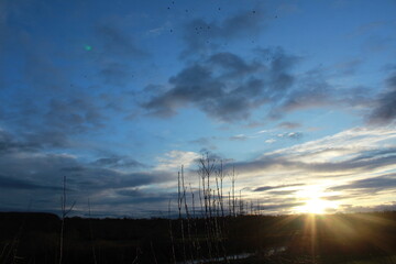 lev&eacute; de soleil de f&eacute;vrier