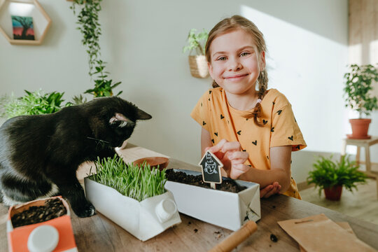 Smiling girl planting catnip for cat at home