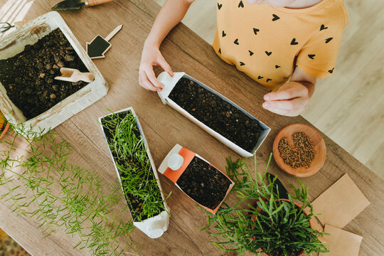 Creative girl upcycling milk carton into pot on table at home
