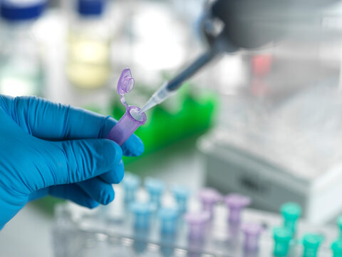 Senior scientist pipetting chemical formula in eppendorf tube at laboratory