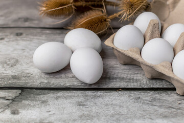 Large white eggs