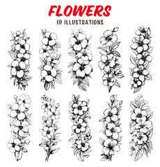 Collection of drawn flowers for decoration.  Sketch illustration. Engraved style.