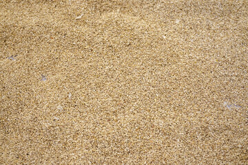 Sand for bedding small animal (Hamsters, Guinea Pigs, Rabbits, Chinchillas, Ferrets)  