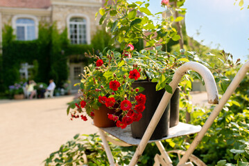 Fototapety na wymiar - Fototapeta24.pl