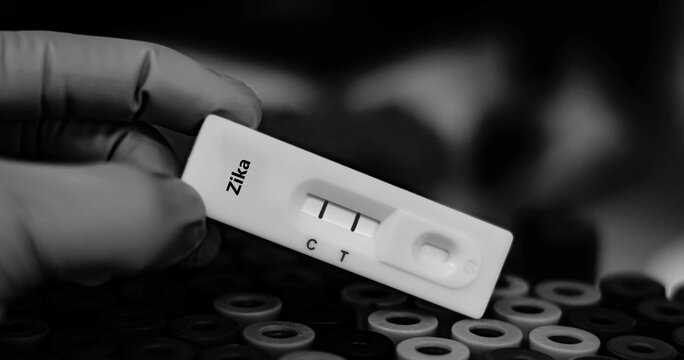 Blood sample of patient positive tested for zika virus by rapid diagnostic test.