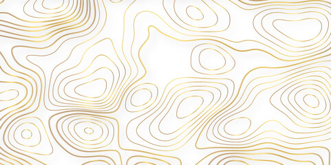 Background of the topographic map. Topographic map lines, contour background. Golden contour line background. Vector illustration.