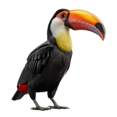 Papier Peint photo Lavable Toucan toucan isolated on transparent background, png