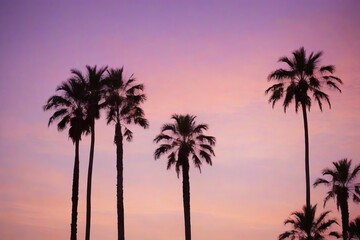 Fototapeta na wymiar Tropical Twilight Palm Silhouettes