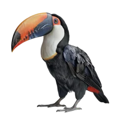 Deurstickers toucan isolated on transparent background, png © road to millionaire