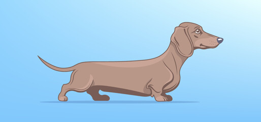 Vector funny cartoon brown cute dachshund breed dog. Friendly kind pet. Adorable doggy. Blue background.
