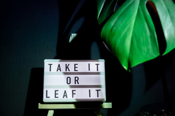 Funny joke idea inscription saying TAKE IT OR LEAF leave IT Monstera silhouette leaf in dark...