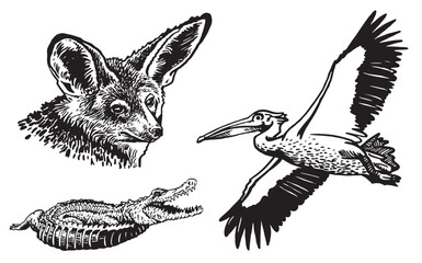 Graphical set of animals on white background, vector illustration