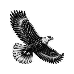 eagle flying in the sky with wide wings hand drawn art style vector illustration