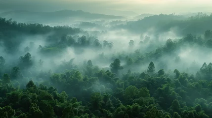 Foto op Canvas a lush forest blanketed in mist, with the distant urban skyline emerging through the fog, showcasing the contrast between nature and civilization © DJSPIDA FOTO