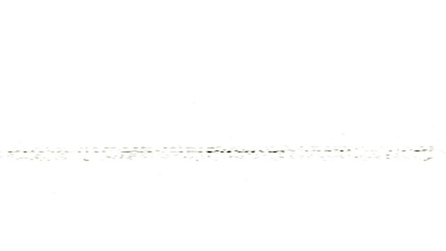 VHS Glitch, VHS Glitch Line Noise on white background, White screen