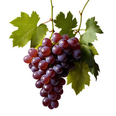 Grape image isolated on a transparent background PNG photo