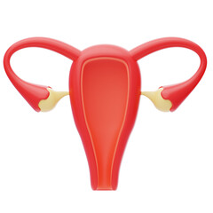 uterus 3d icon.  Female reproductive organ, uterus, ovaries
