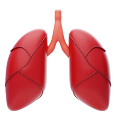 Lungs 3D Icon. Human Lungs internal organ 3d illustration