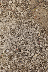 Top view of soil texture. Earth background, dirty hard clay. Barren field, drought. Field problems, dry terrain